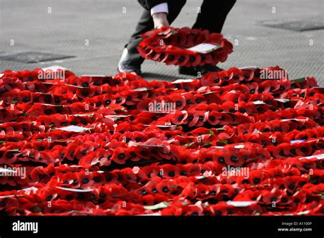 Wreaths Are Laid At The Cenotaph In Whitehall London Picture By James