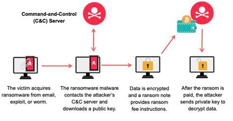 How Does Ransomware Work Extrahop Extrahop