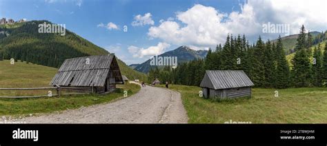 A Panorama Picture Of The Wooden Huts In Chocho Owska Valley Tatra