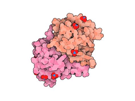 Molecular Blobs On Twitter Kkr Crystal Structure Of Catalytic Core