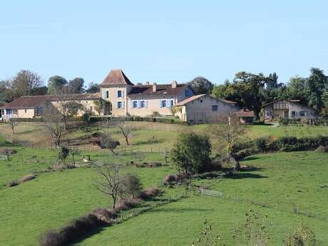 Que faire à Montfort en Chalosse Terres de Chalosse Tourisme