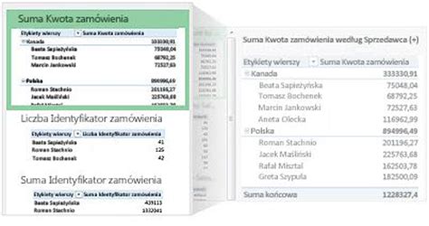 Analizowanie Danych Za Pomoc Tabel Przestawnych I Innych Narz Dzi Do