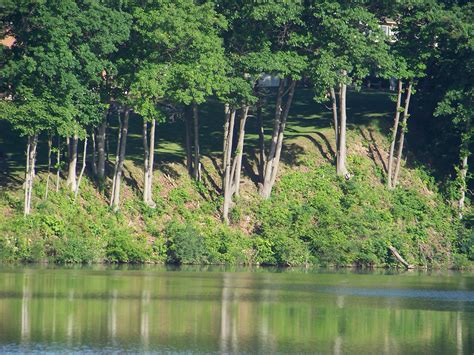 Free photo: Natural Beauty of Hidden Lake Gardens - Flowers, Garden