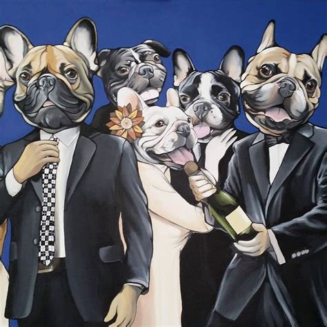 French Bulldog Frenchie Teunen Jeroen Teunen Hunde Rassen