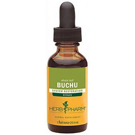 Herb Pharm Certified Organic Buchu Liquid Extract For Urinary System Support 1 Fl Oz