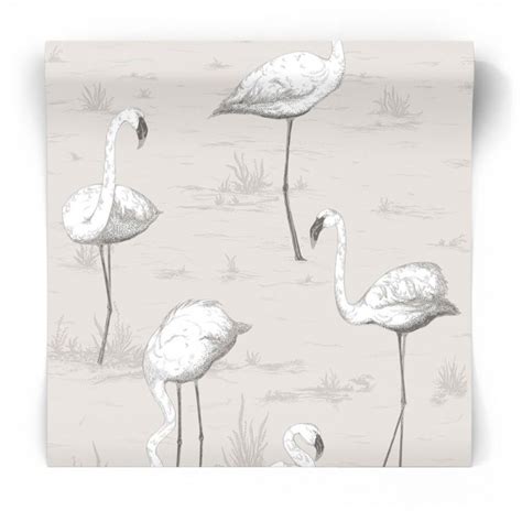 Tapeta Flamingos 95 8046 Cole Son