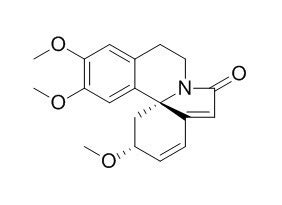 Erysotramidine CAS 52358 58 4 Manufacturer ChemFaces