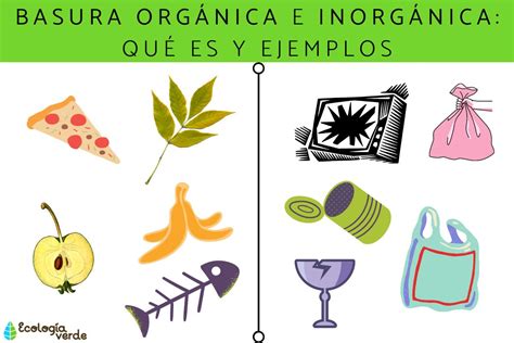 Alimentos Orgánicos e Inorgánicos - Mini Manual