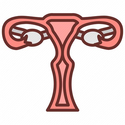 Uterus Womb Female Organs Reproductive System Gynecology Icon