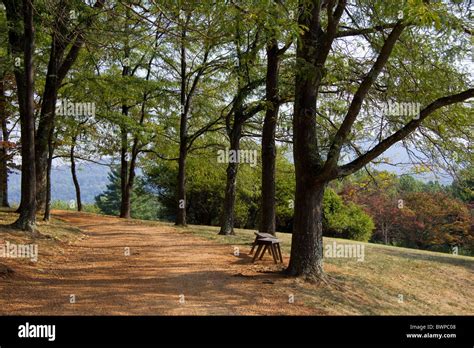 Monticello, virginia gardens hi-res stock photography and images - Alamy