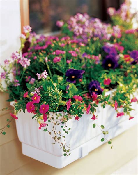 23" Self-Watering Windowbox, White Window Box Flowers, Flower Boxes, Window Planter Boxes ...