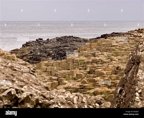 Giant Causeway, Ireland Stock Photo - Alamy