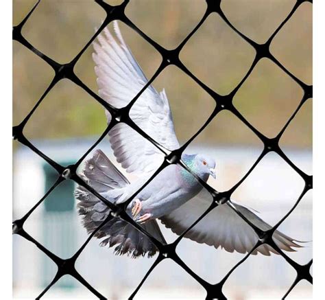 Heavy Duty Bird Netting For Garden - xinhui netting