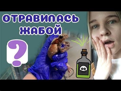 Отравиться жабой? Серьезно? - YouTube