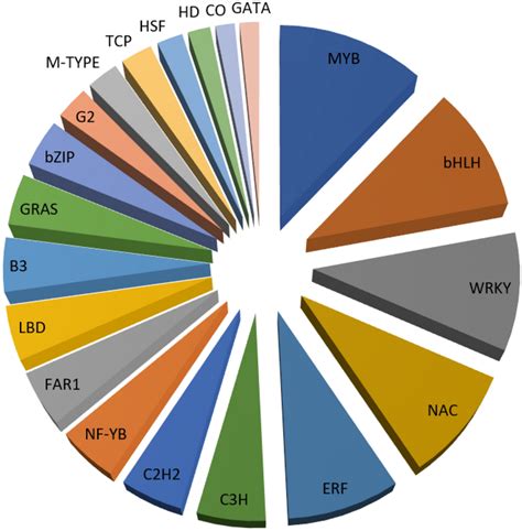 The first twenty transcription factors (TFs) identified in the DEGs ... 