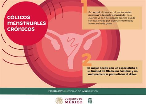 Cólicos Menstruales Crónicos Deben Ser Tratados Con Especialistas Imss News Hidalgo