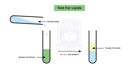 Igedbiotopic 5007test For Lipids Studia Academy Resources