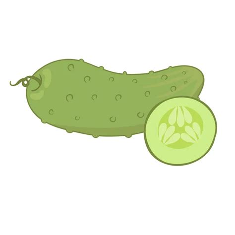 Ilustración plana del vector del pepino Pepino entero y reducido a la