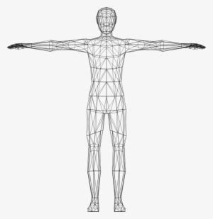 clipart human body computer model  transparent png