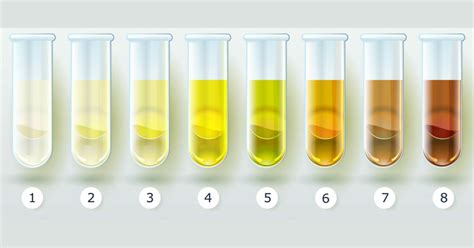 Amarillo Verde Naranja O Rojo Lo Que Nos Dice Sobre Nuestra Salud El