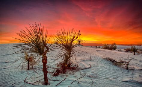 Sunrise, White Sands National Monument from the collection of TMC ...