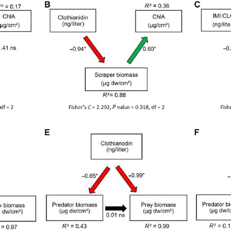 Path Models Depicting The Direct And Indirect Effects Of The