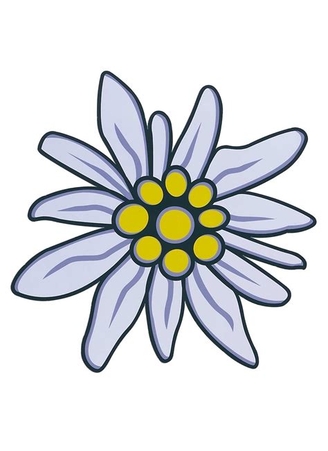 Free Edelweiss Flower Tattoo, Download Free Edelweiss Flower Tattoo png ...