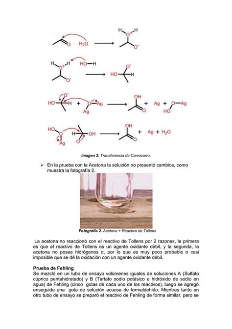 Practica Reconocimiento De Aldeh Dos Y Cetonas Pdf