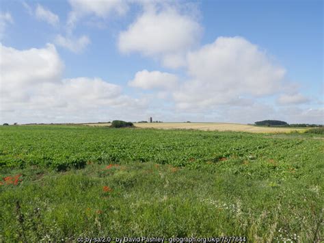 Sugar Beet Field With Church In Distance David Pashley Cc By Sa 2 0