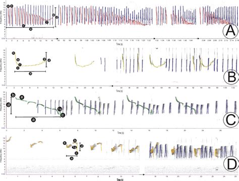 Spectrogram Of Duet Call Phrases From Four Different Acoustic Forms Of