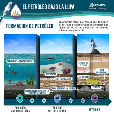 Petróleos Mexicanos on Twitter PetróleoBajoLaLupa Cómo se forma