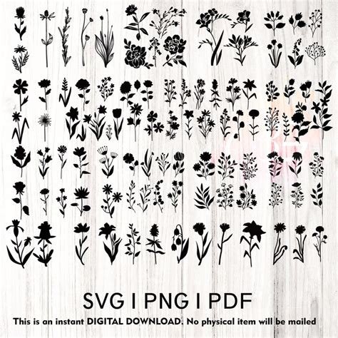 Wildflowers Svg Floral Svg Wild Flower Svg Flower Sketch Etsy