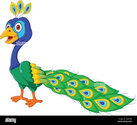 Cute Peacock Cartoon Stock Vector Image And Art Alamy