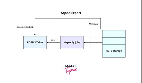 Import And Export Command In Sqoop Scaler Topics