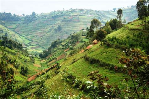 Best Time To Visit Rwanda - Best time to travel rwanda, rwanda safari