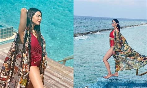 Rakul Preet Singh Sizzles In The Hot Bikini And Sets Internet On Fire