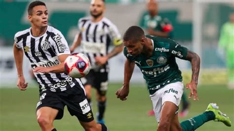 Santos X Palmeiras Ao Vivo Saiba Como Assistir Na TV E Online Pelo