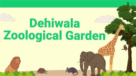 Dehiwala Zoological Garden Exploring Sri Lankas Wildlife Haven Youtube