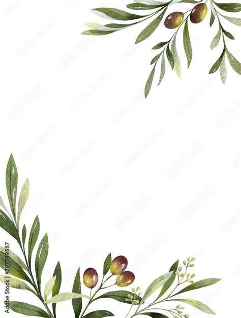 Watercolor Vector Card Of Olive Branches And Leaves Stock Vector