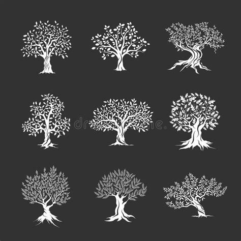 Magnificent Olive And Oak Trees Silhouette Stock Illustration Oak