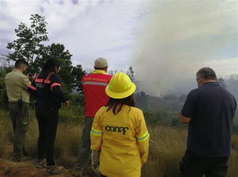 Incendios Forestales Más De Dos Mil Brigadistas De Conaf Trabajan