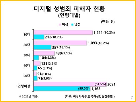 디지털 성범죄 피해자 현황연령대별 통계자료