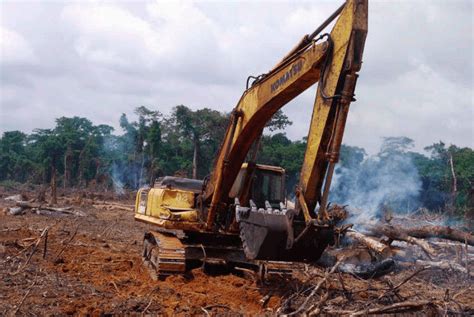 Press Release: Roads and Deforestation Explode in the Congo Basin - MAHB