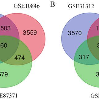 Protein Protein Interaction Network Of B Cell Translocation Gene