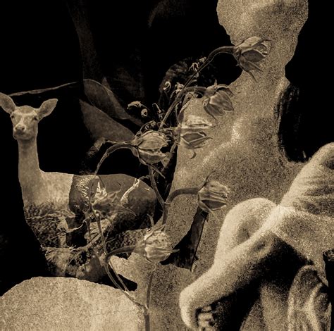 Serie…Sepia… on Behance