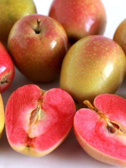 Recipe- Heirloom Mountain Rose Apple Crumble - Eat Like a Goddess