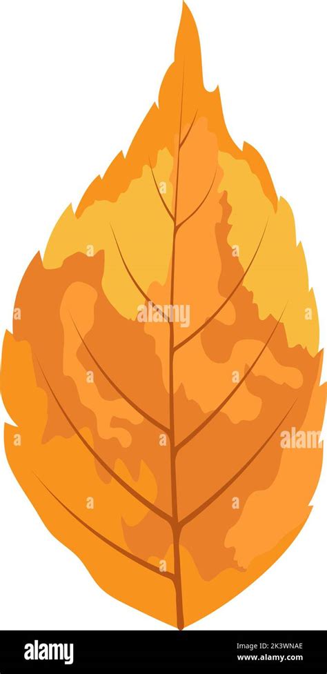 Autumn Ash Tree Leaf Leaf Fall Vector Illustration Stock Vector Image And Art Alamy