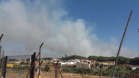 Controlado Un Incendio Forestal En El Paraje Montemayor De Moguer