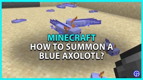 How To Summon A Blue Axolotl In Minecraft Gamer Tweak