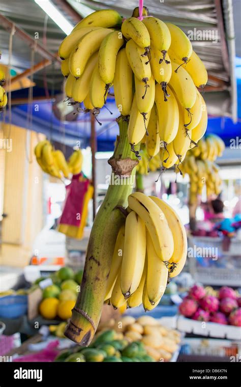 Tige de bananes Banque de photographies et dimages à haute résolution